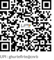 UPI QR Code